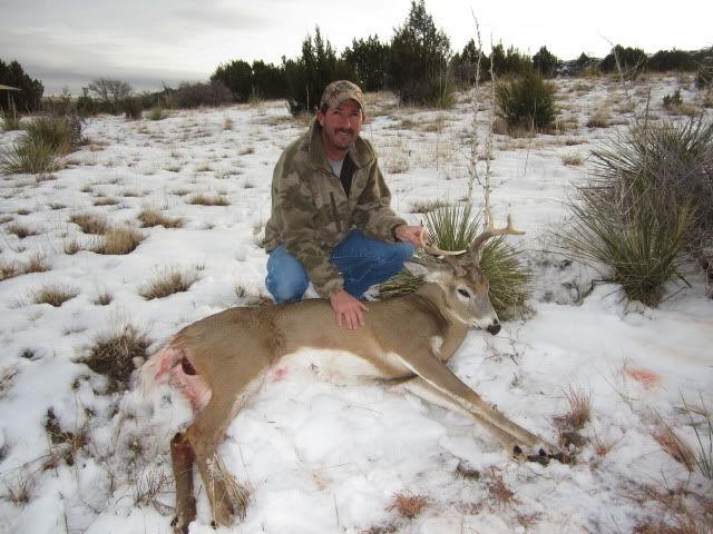 NMWhitetail126-1.jpg