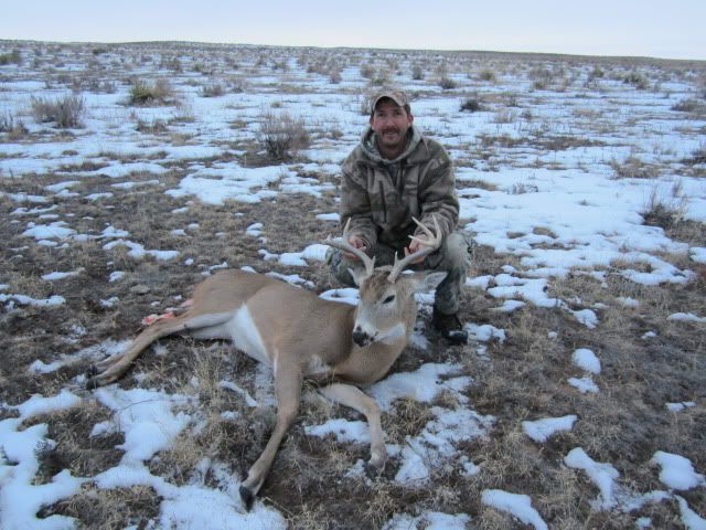 NMWhitetail112.jpg