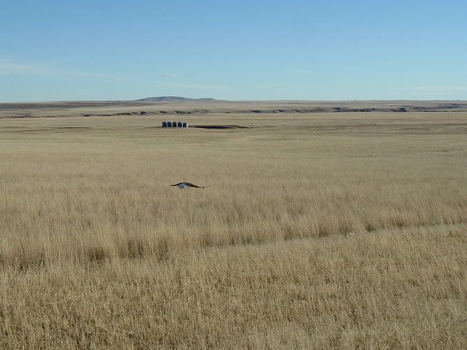 montana019.jpg