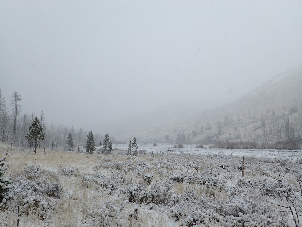 camp_in_snow.jpg