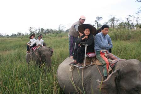elephant-safari-help-tourism-010.jpg