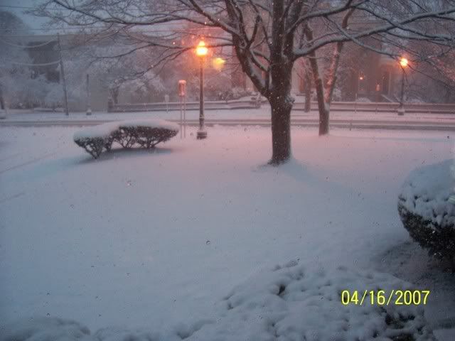 100_1104.jpg