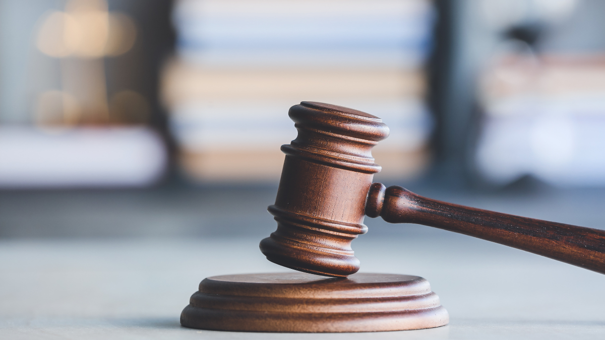 montanafreepress.org