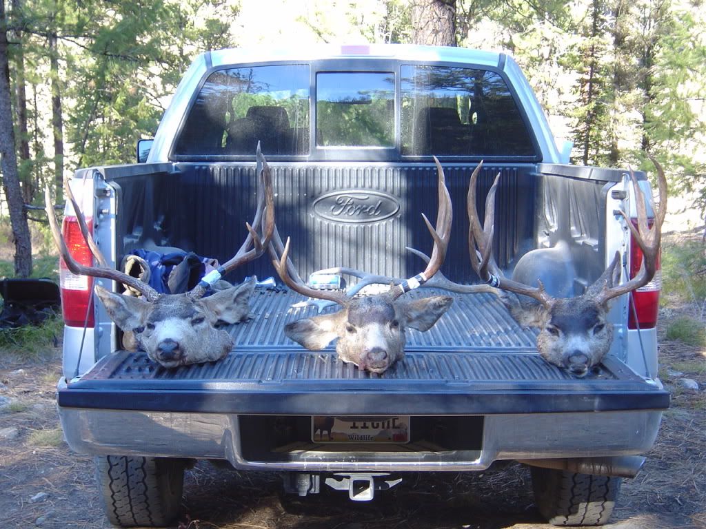 IdahoGeneralDeer2008038.jpg