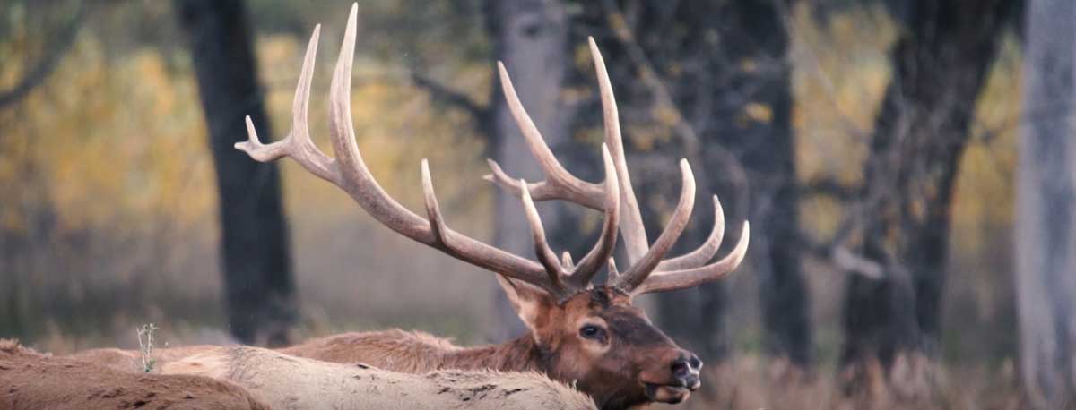 www.rmef.org