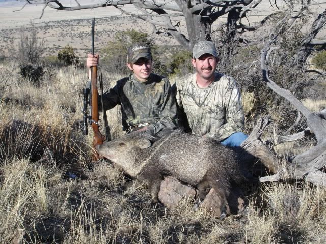 BillsJavelina08014.jpg