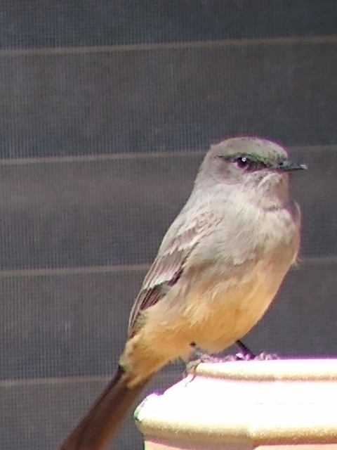 IMG_20200505_103910698.jpg