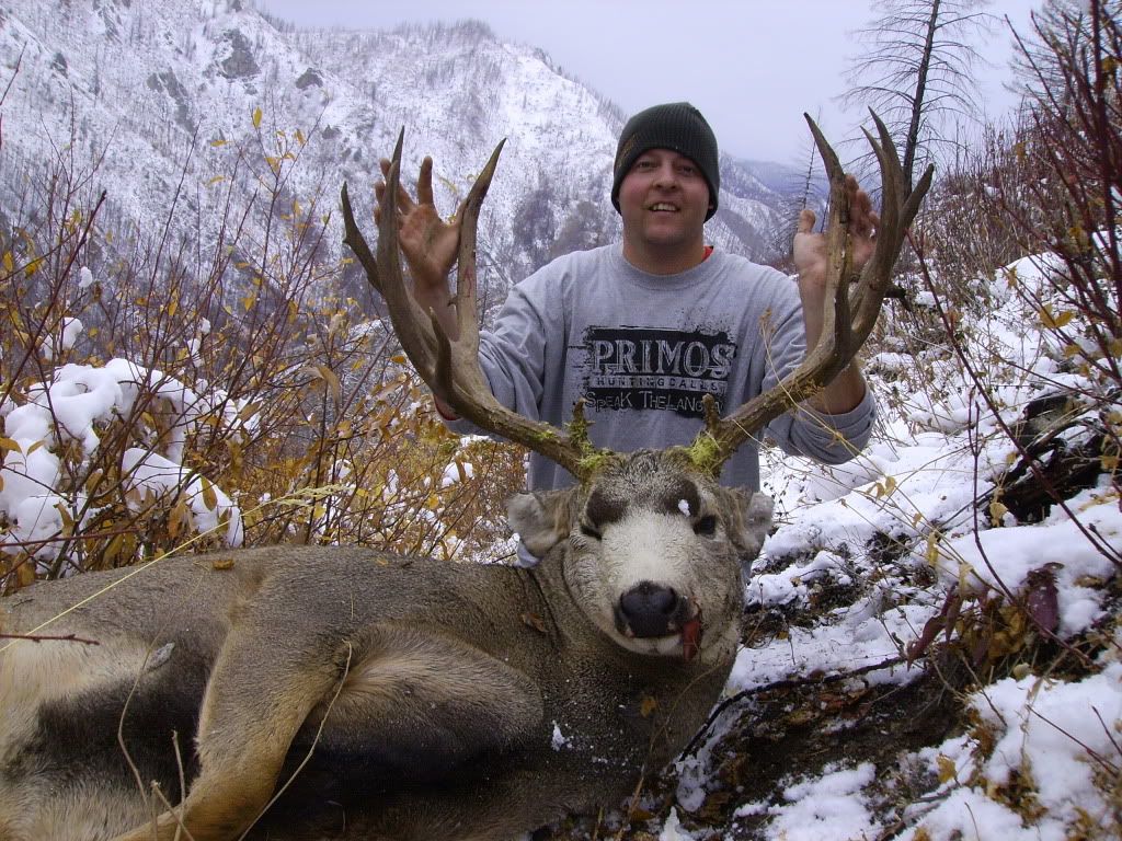 DeerHunt07006-2.jpg