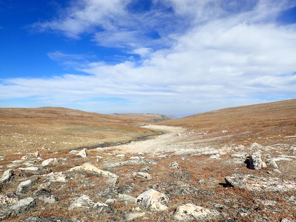 line_creek_tundra1.jpg