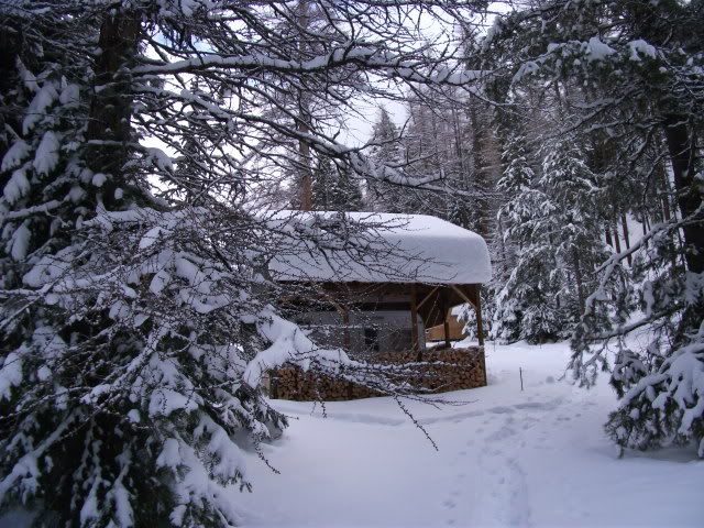 December2010Cabin.jpg