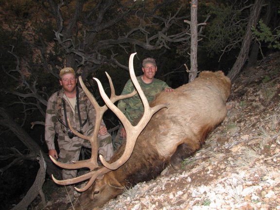 AZ_Elk%20063.jpg