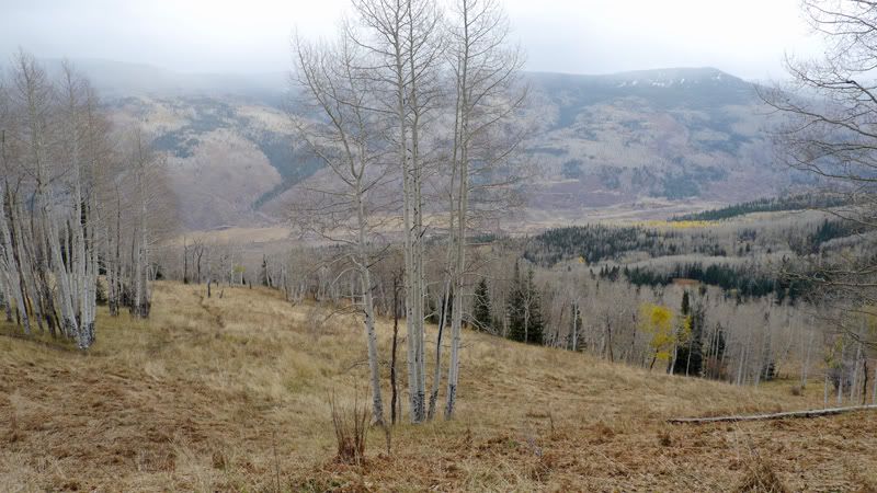 Flat-Tops-view.jpg