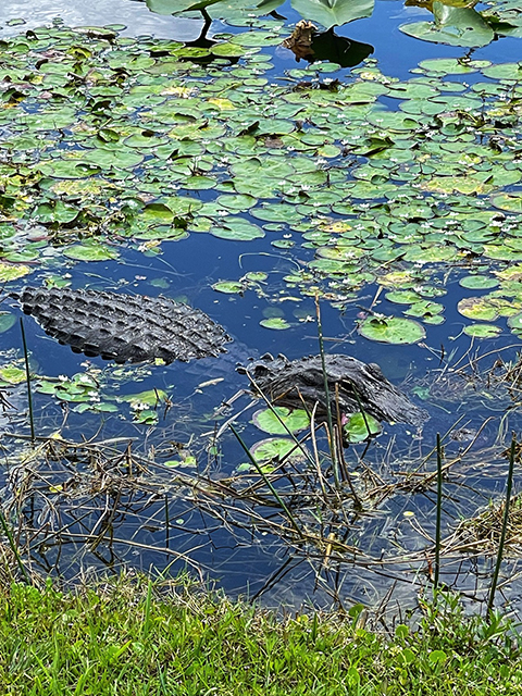 Florida-3-18-22-C.jpg