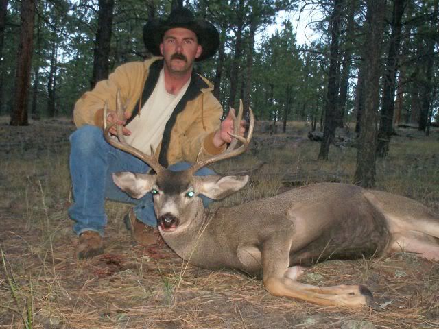 06Deer2-1.jpg