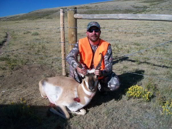 Pronghorn.jpg