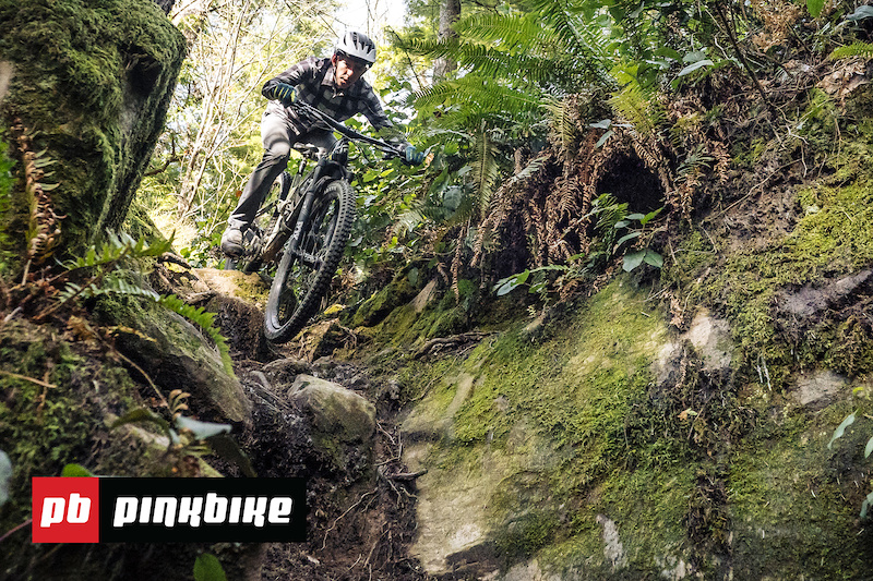 www.pinkbike.com