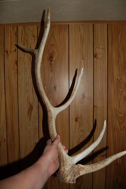 shed019.jpg