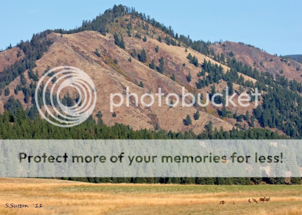 16-mid-OctoberontheSwaukPrairie-rs.jpg