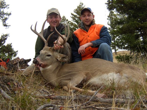 whitetail4.JPG