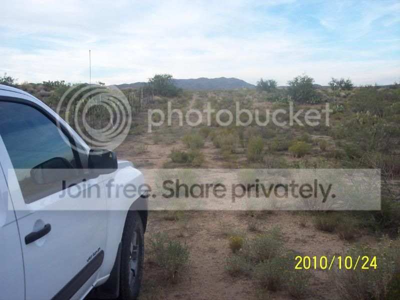 quail10-24-10015.jpg