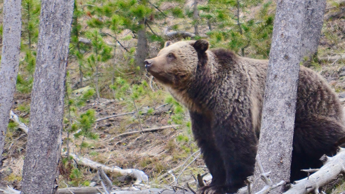 www.rmef.org