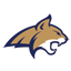 msubobcats.com