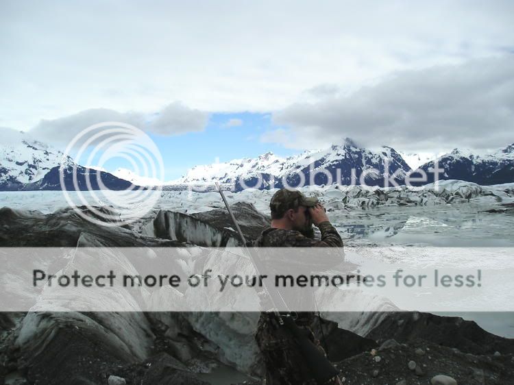 GlacierHunting.jpg