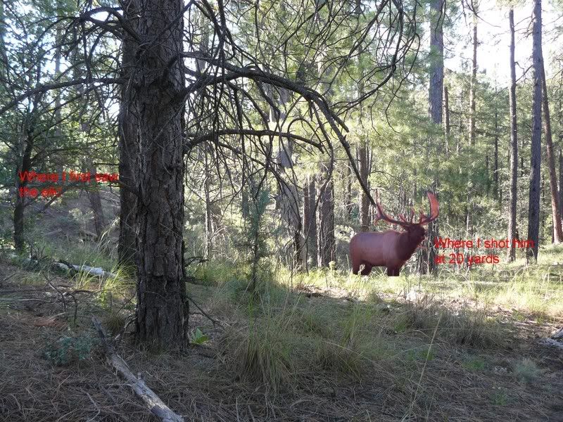 Elkshot.jpg