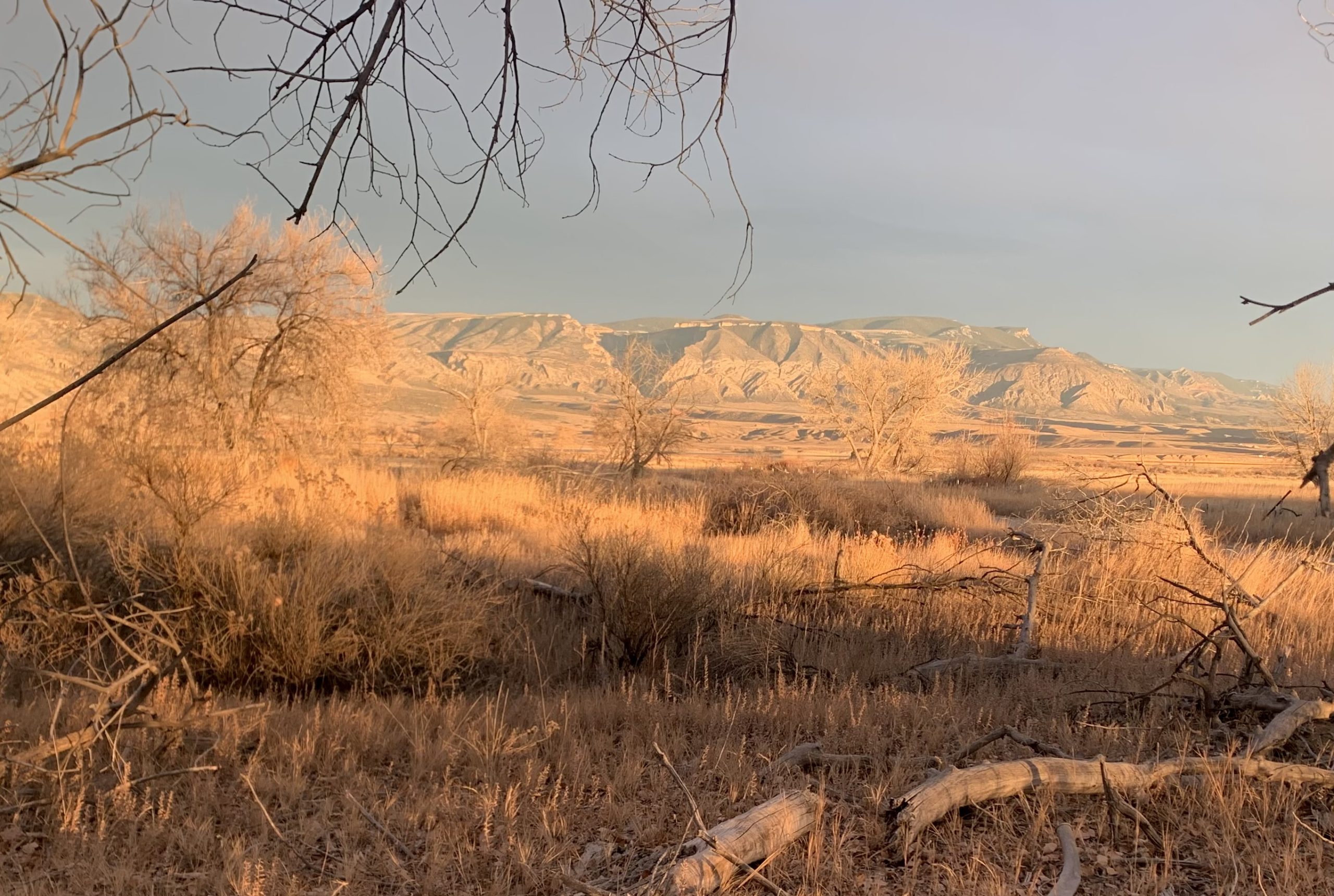 wyofile.us20.list-manage.com