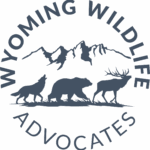 wyomingwildlifeadvocates.org