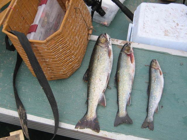 IMG_0138.jpg
