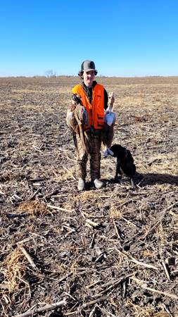 siouxfalls.craigslist.org