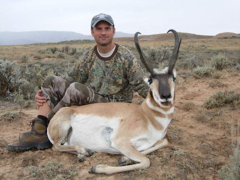 RedDesertAntelope017.jpg