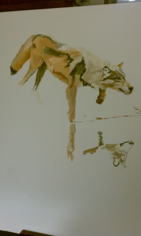 IMAG0373.jpg