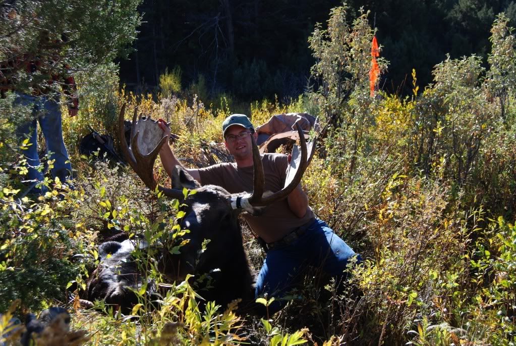 Moose2010013.jpg