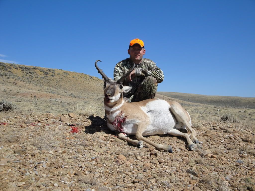 WyomingAntelope09030.jpg