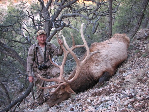 AZ_Elk%20056.jpg