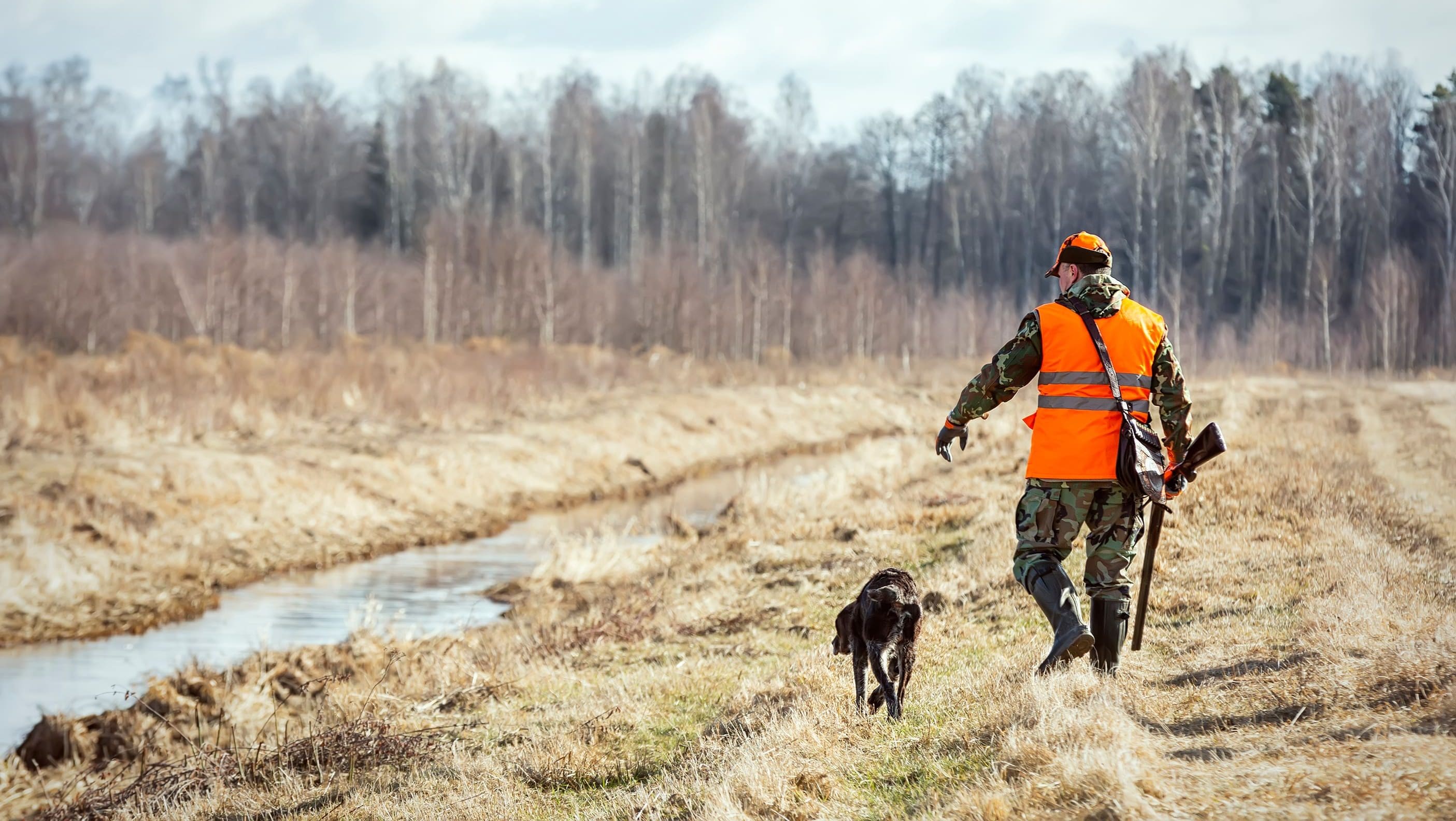 montanafreepress.org