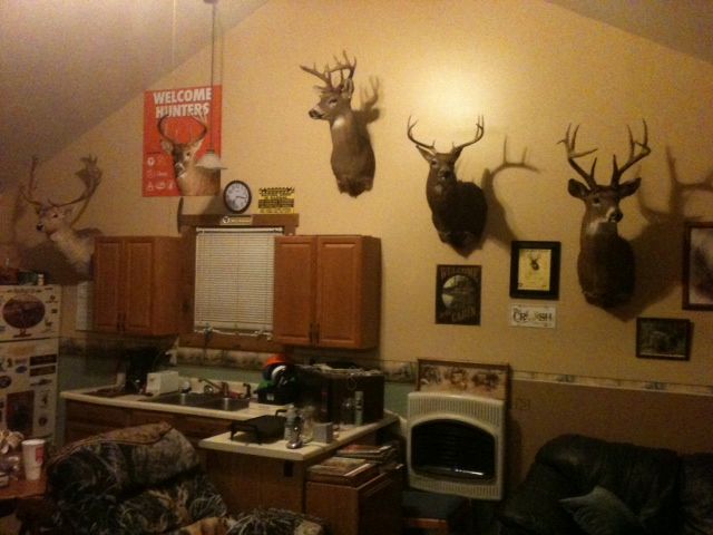 cabin_zpsf8091292.jpg