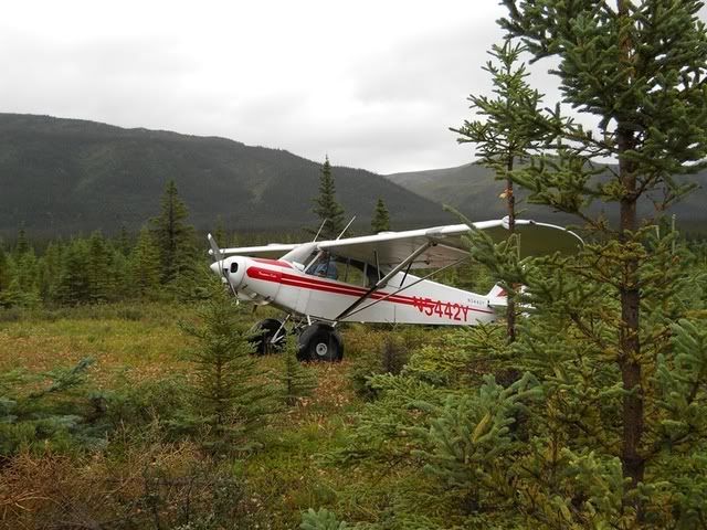 DSCN0302.jpg