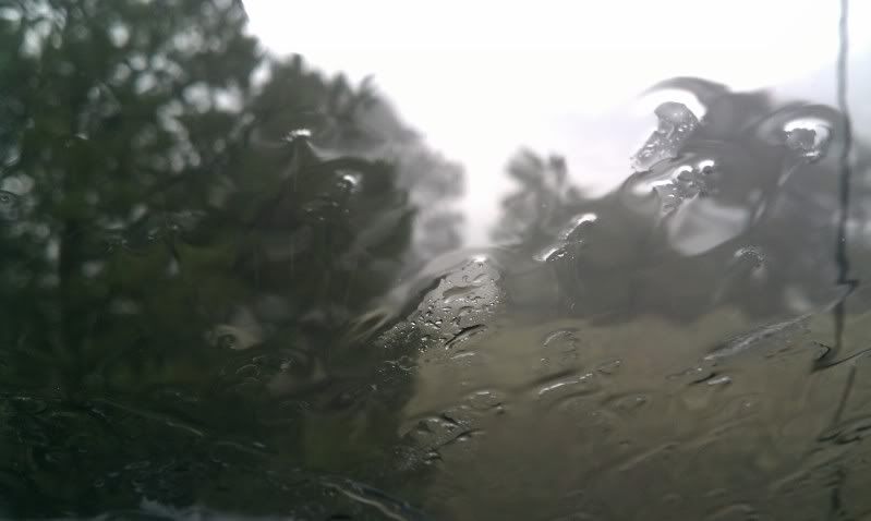 IMAG0337.jpg
