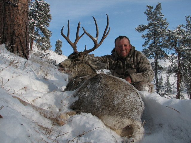 2010deer%20065.jpg