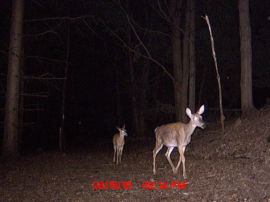 mdgc0013_00.jpg