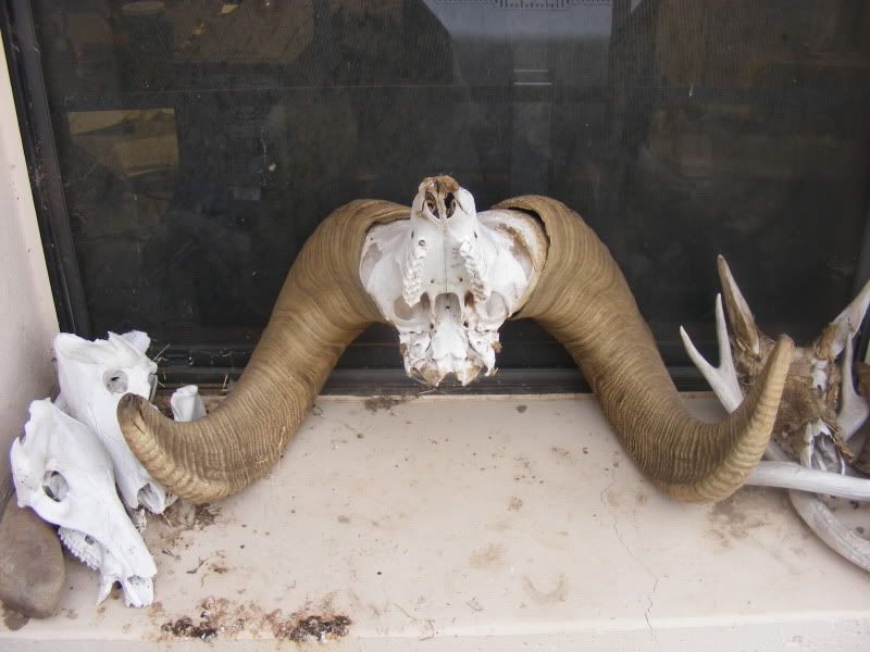 DSCF3285.jpg