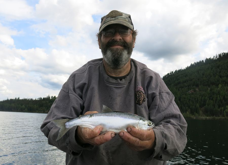 Dave%20Bell%205-14-15H_zpsb0apqx7f.jpg