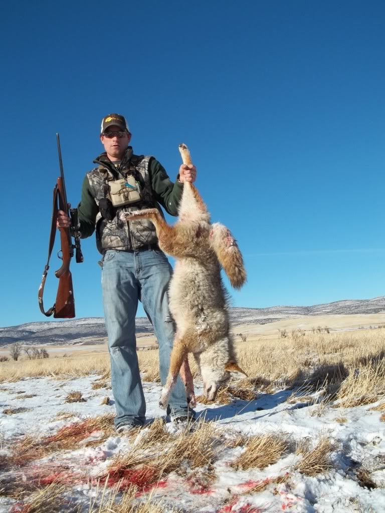 coyotedec22012.jpg