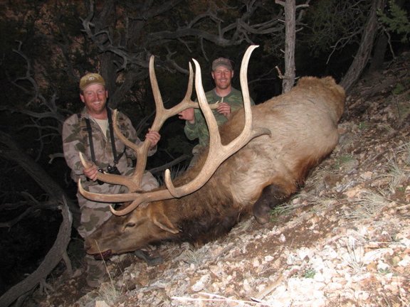 AZ_Elk%20064.jpg