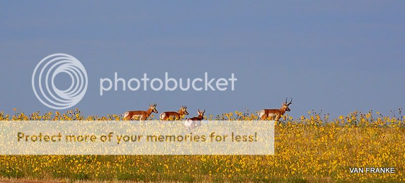 DSC_0676.jpg