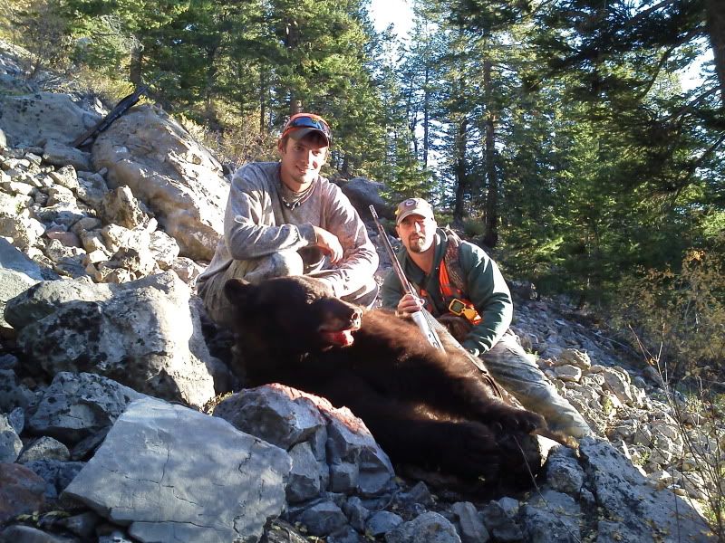 bear2011.jpg