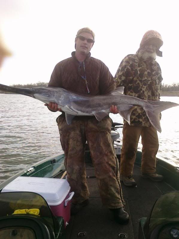 Dec30paddlefish.jpg